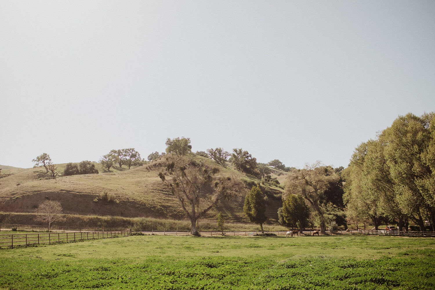 Alisal Ranch spring wedding venue