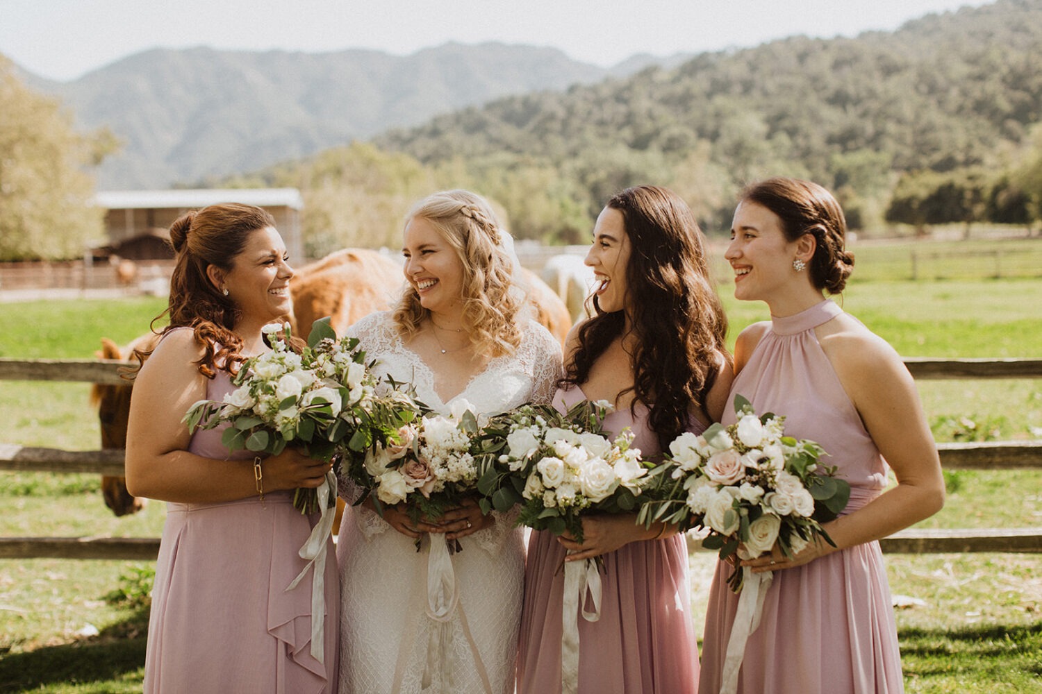 bride and bridesmaids pose in front of fence and horse