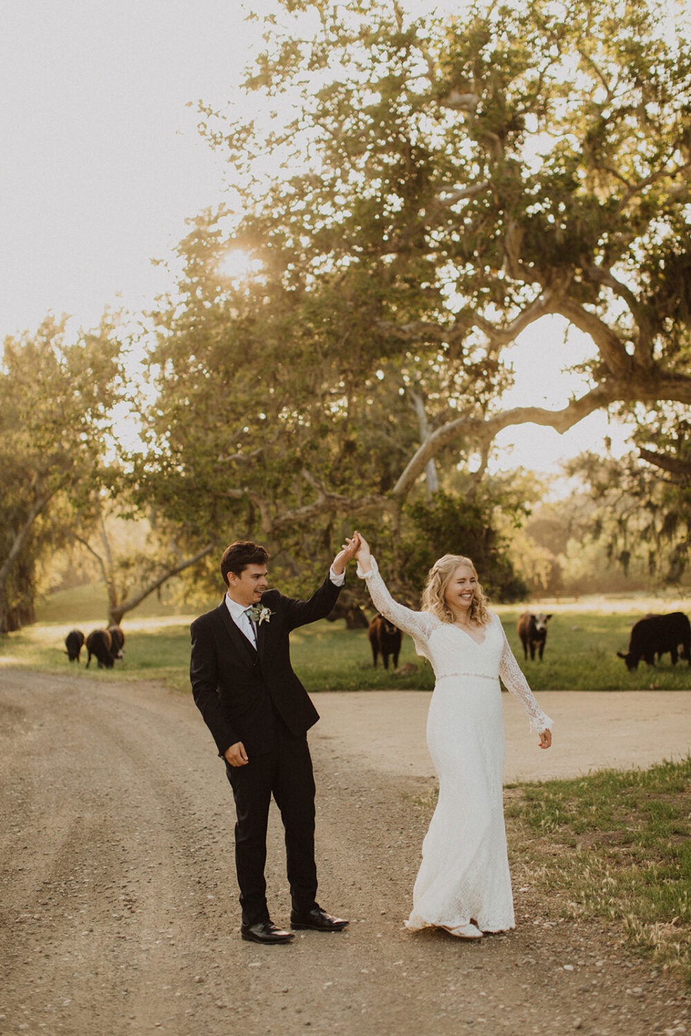 couple twirl with cows in the background