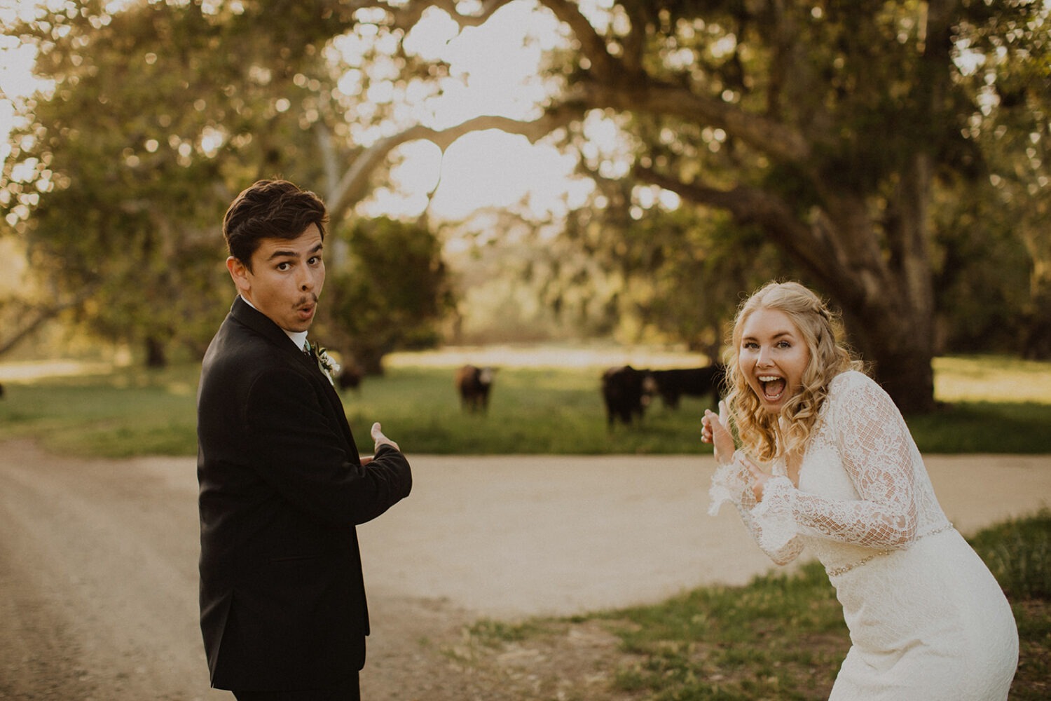 couple pose with cows in the background